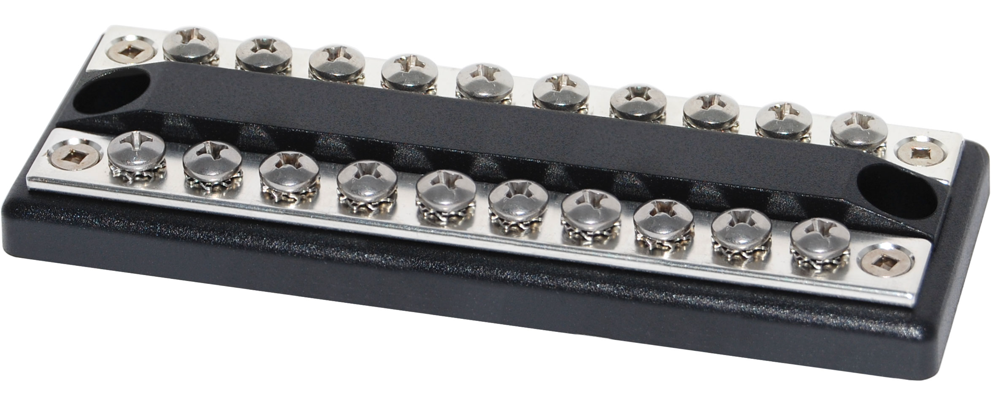 DualBus 100A BusBar - 10 Circuit