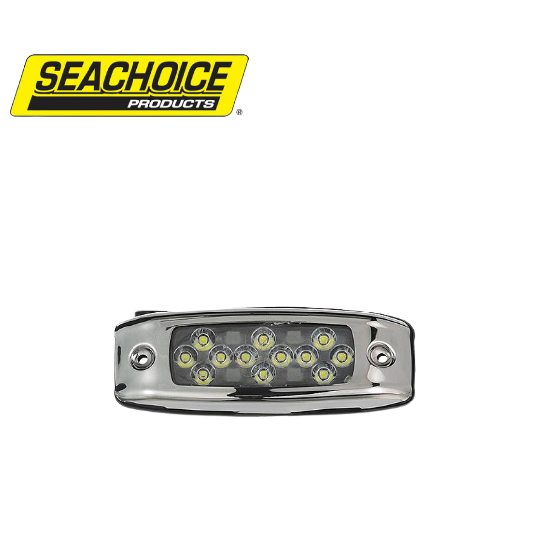 Seachoice Water Dragon LED Underwater Light